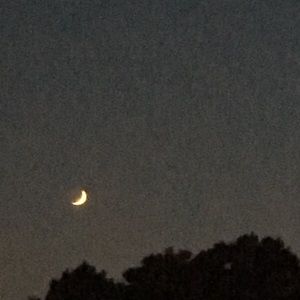 Meet your Posher, Ray